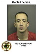 Andrew Ryan Young Andrew Ryan Young