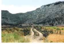 Moorland Canyon homestead after the Triangle Fire Moorland Canyon homestead after the Triangle Fire