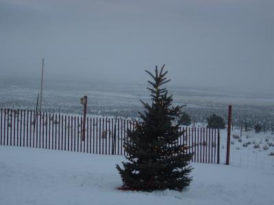 White Christmas on Glade Park