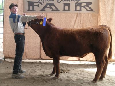 Me and Rebel at the Mesa County Fair.